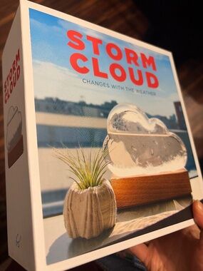 Chronicle Books Storm Cloud A Weather Predicting Instrument Weather Forecaster